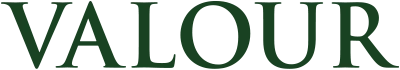 Valour Capital Group logo