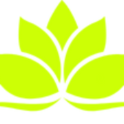 Caishen Capital Group logo